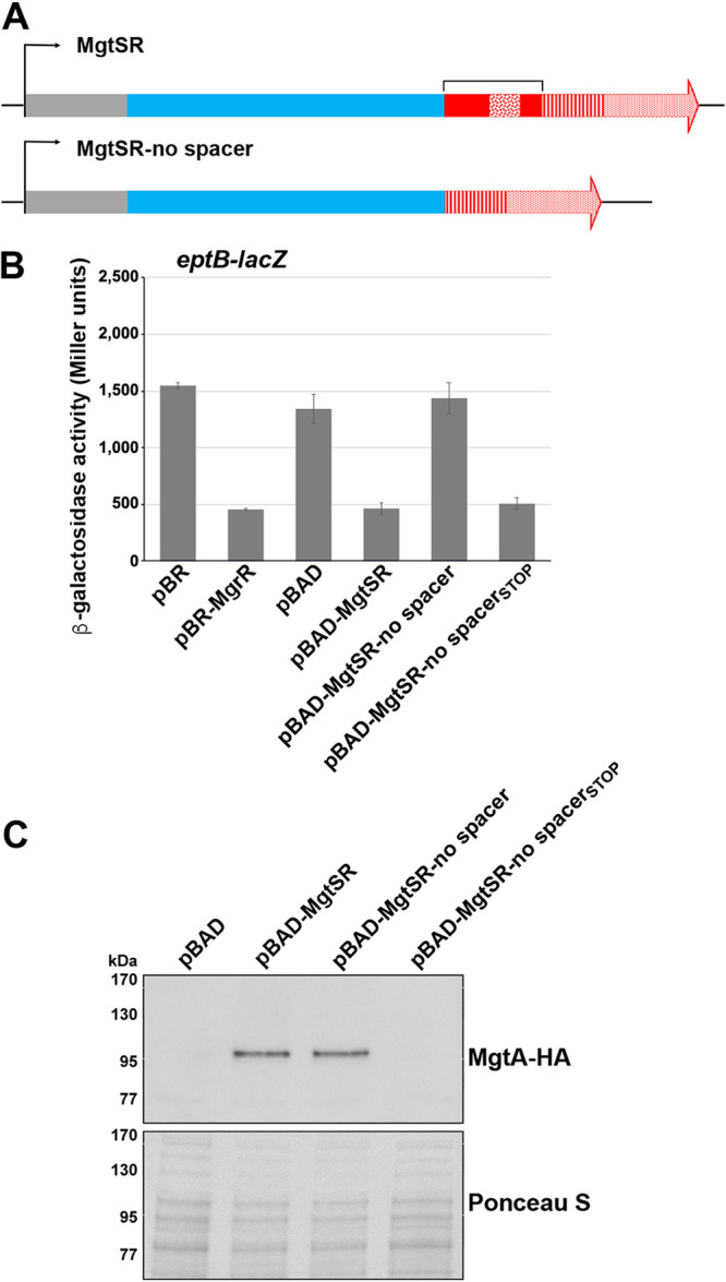 FIG 2