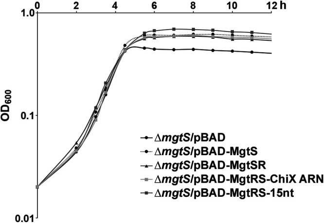 FIG 5