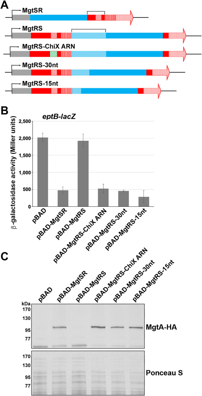 FIG 4