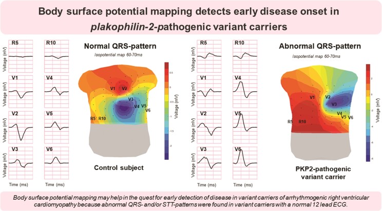 Graphical abstract