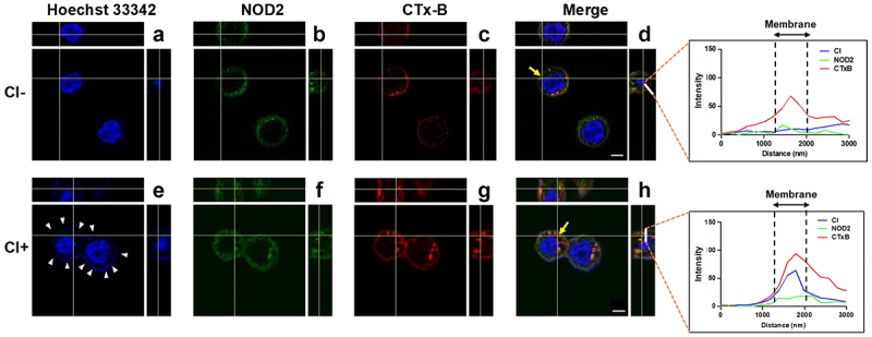 Figure 2.