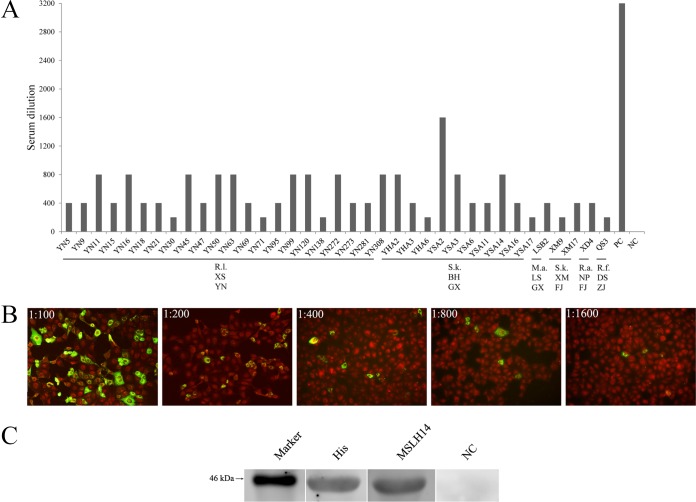 FIG 6