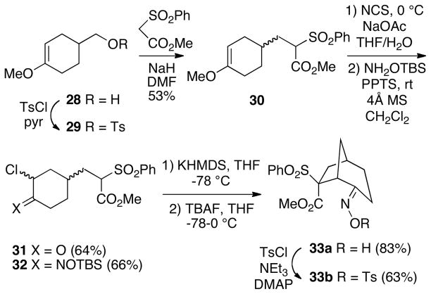 SCHEME 8