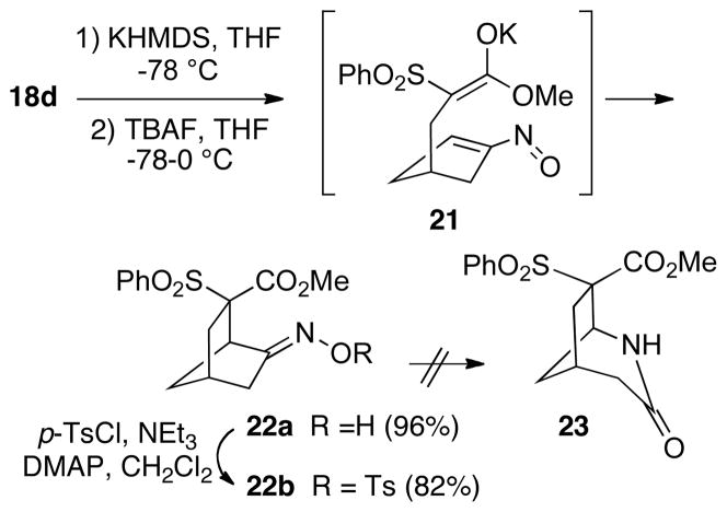 SCHEME 6