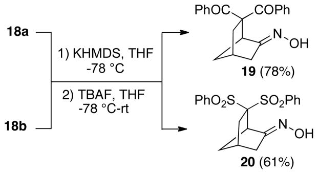 SCHEME 5