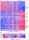 Fig 3.