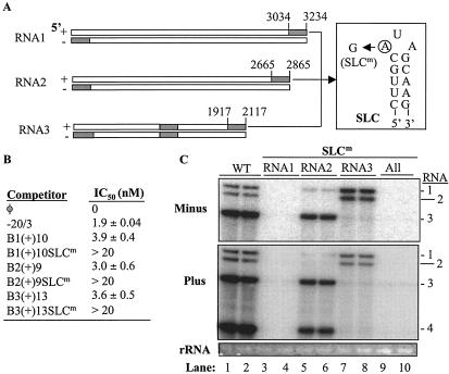 FIG. 3.