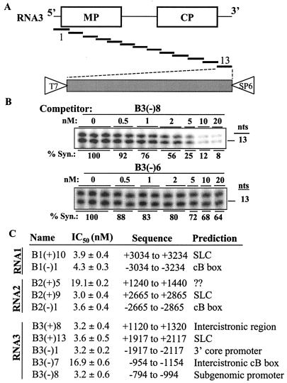 FIG. 2.