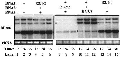 FIG. 7.