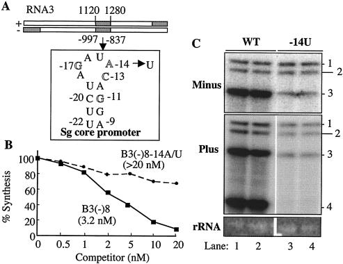 FIG. 4.