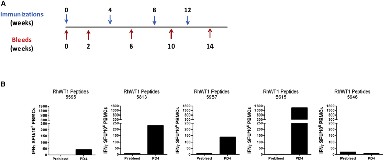 Figure 7