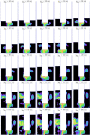 Fig. 11