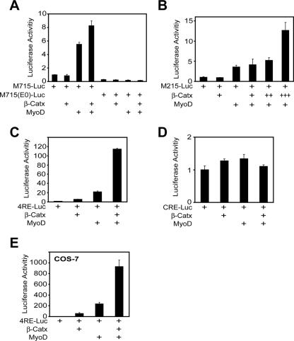 FIG. 3.