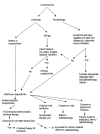 Figure 3)