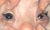 Figure 1)