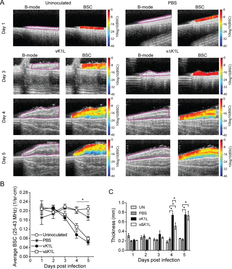 FIG 6