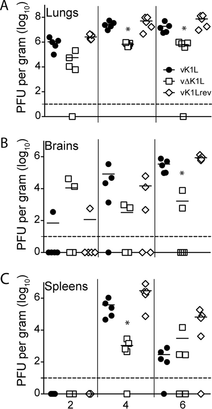 FIG 3