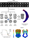 Figure 3—figure supplement 2.