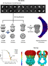 Figure 3—figure supplement 1.