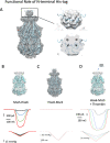 Figure 4—figure supplement 1.