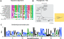 Figure 1—figure supplement 4.