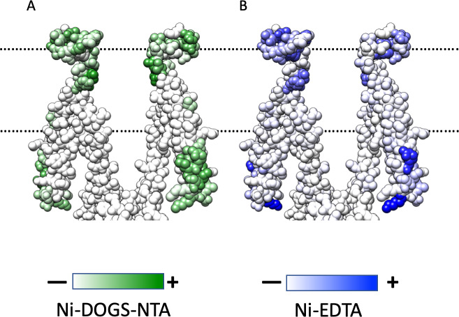 Figure 7—figure supplement 1.