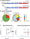 Figure 1—figure supplement 1.