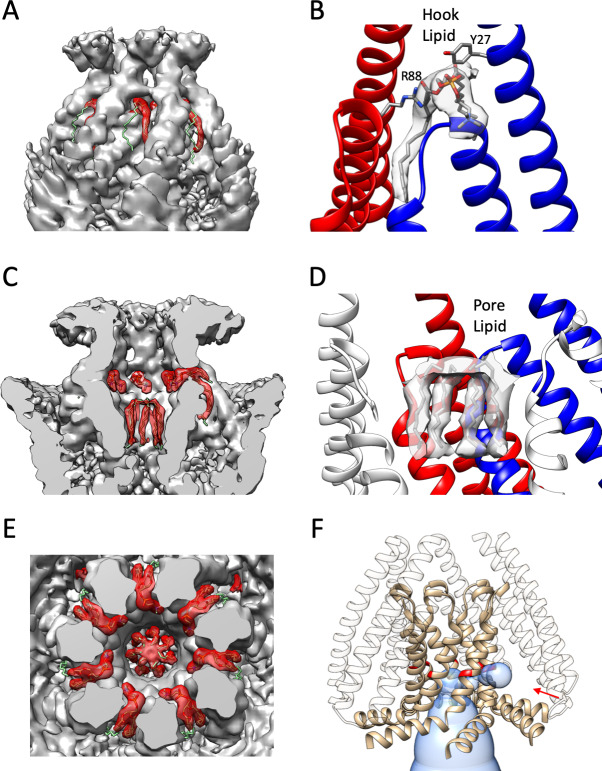 Figure 5—figure supplement 1.