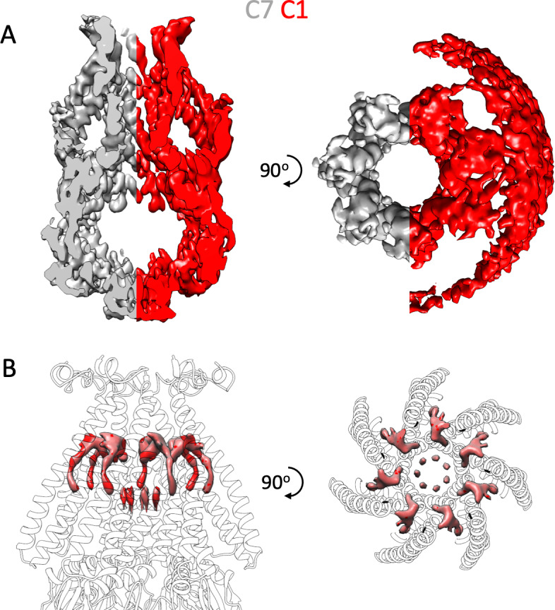 Figure 1—figure supplement 3.