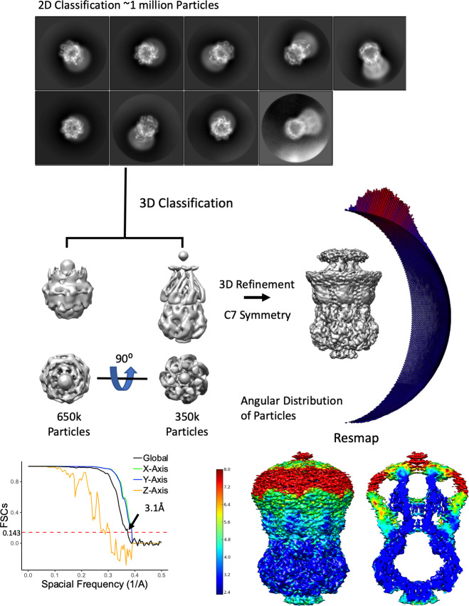 Figure 1—figure supplement 2.