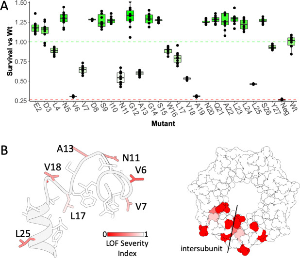 Figure 4—figure supplement 2.