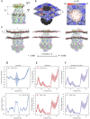 Figure 2—figure supplement 3.