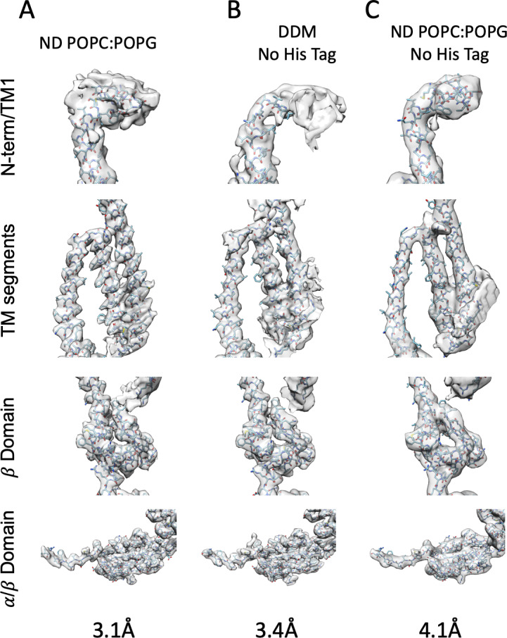 Figure 3—figure supplement 3.