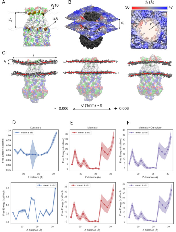 Figure 2—figure supplement 3.