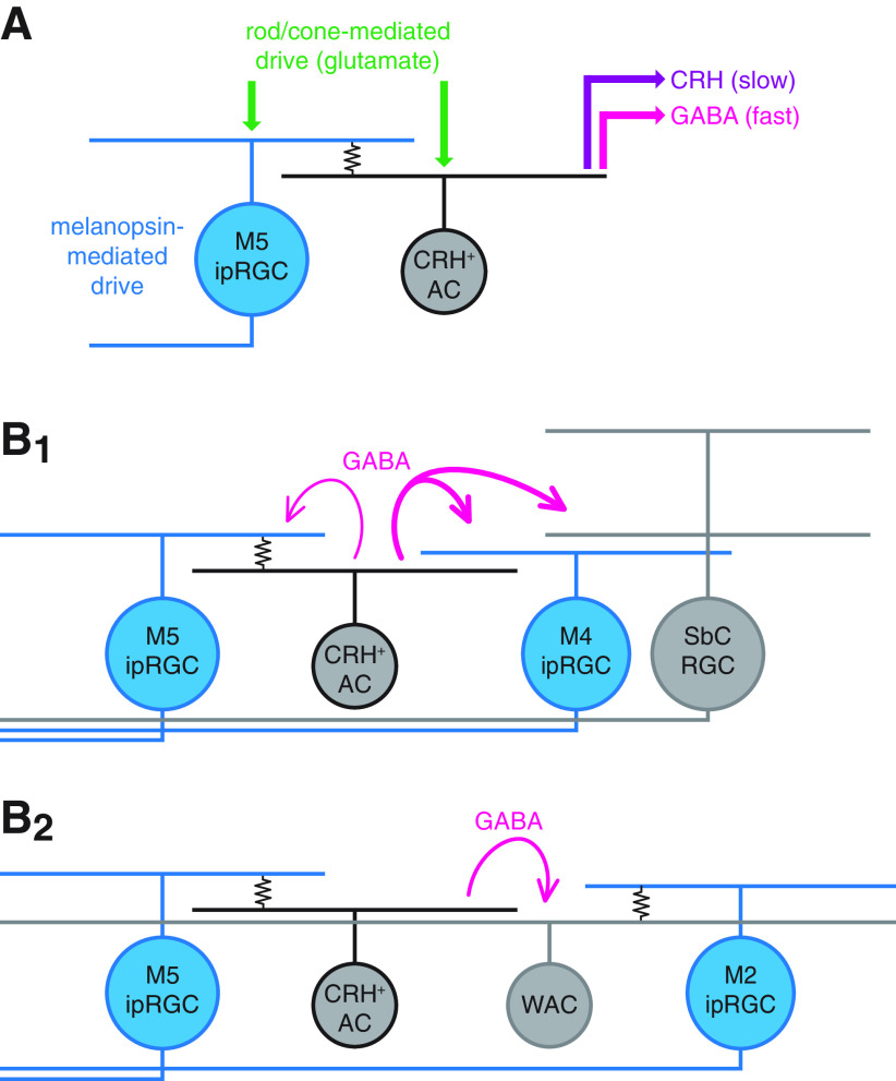 Figure 12.