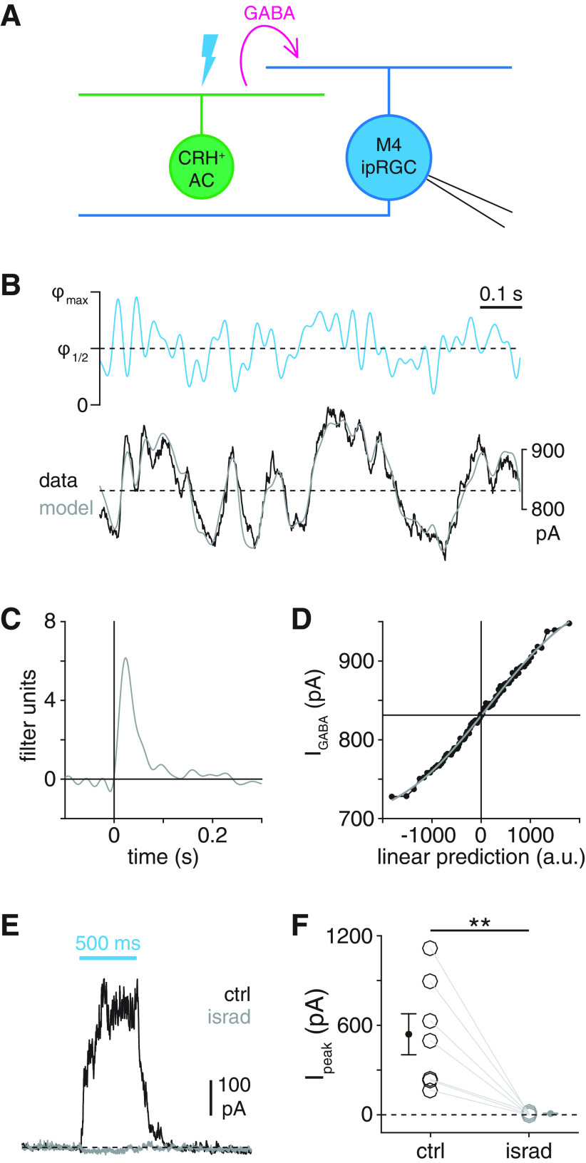 Figure 11.