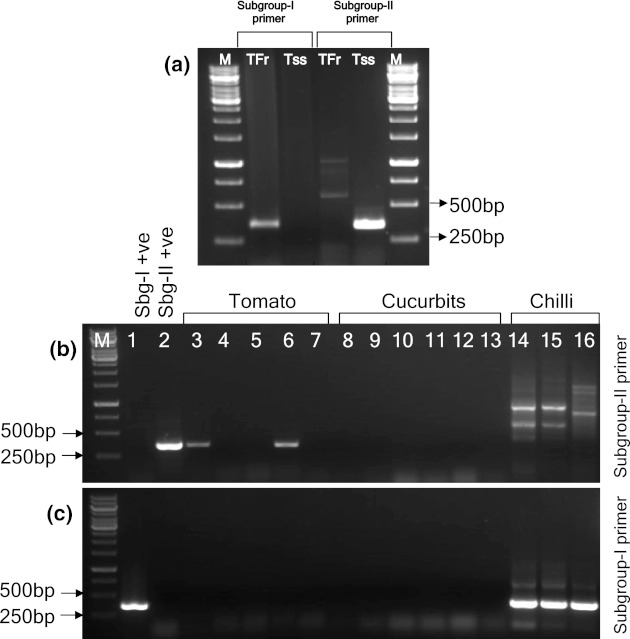 Fig. 5