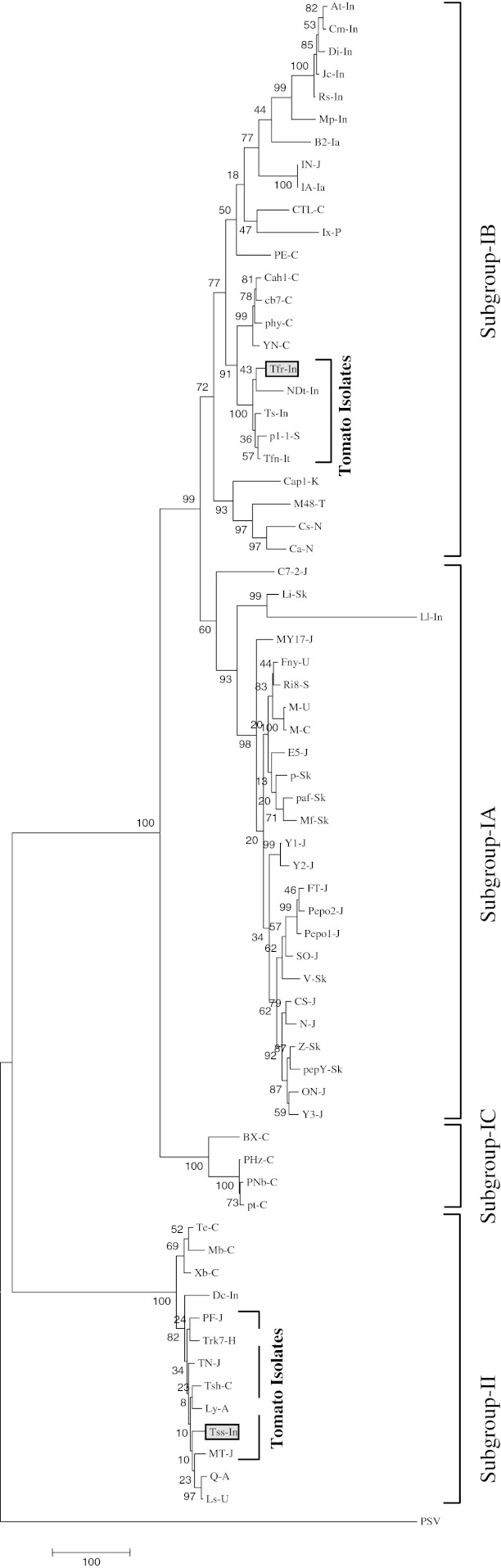 Fig. 3