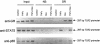 FIG. 8.