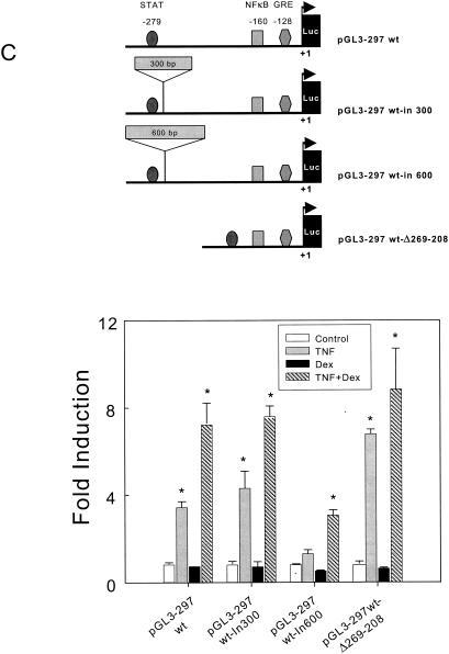 FIG. 5.