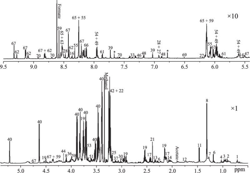 FIG. 1