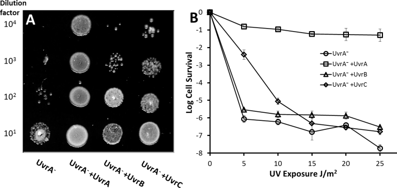 Figure 4.