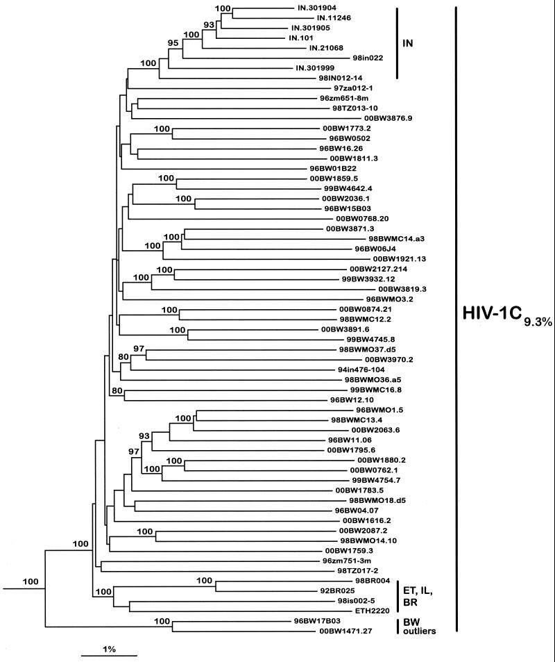 FIG. 1