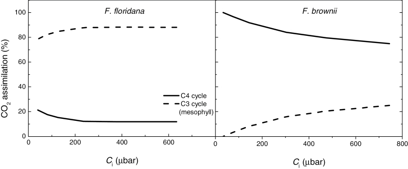 Fig. 8.