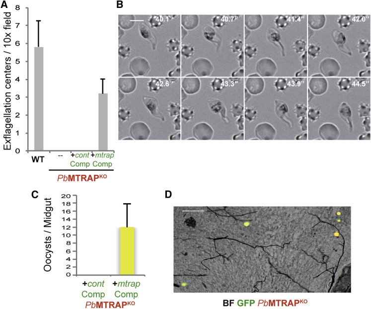 Figure 3