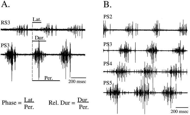 Fig. 1.