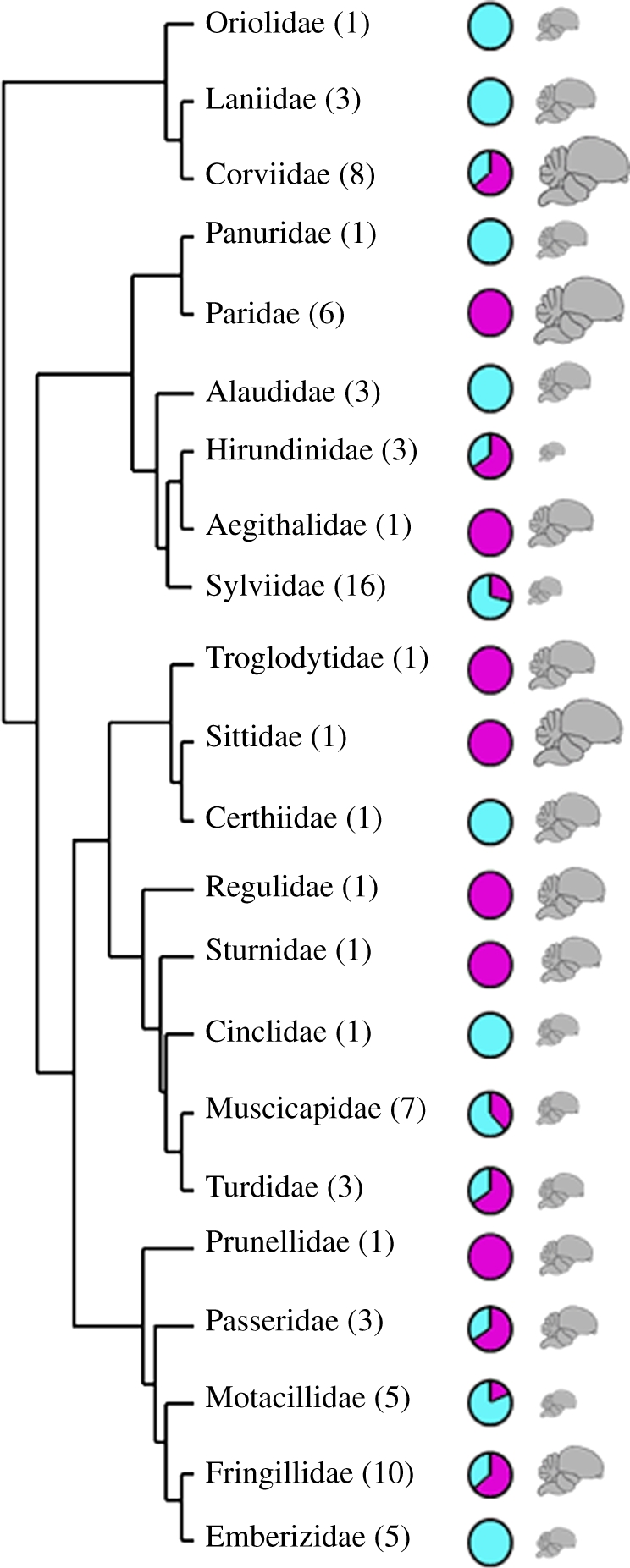 Figure 2.