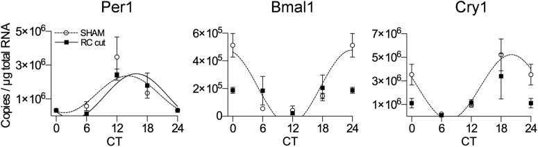 Figure 4.