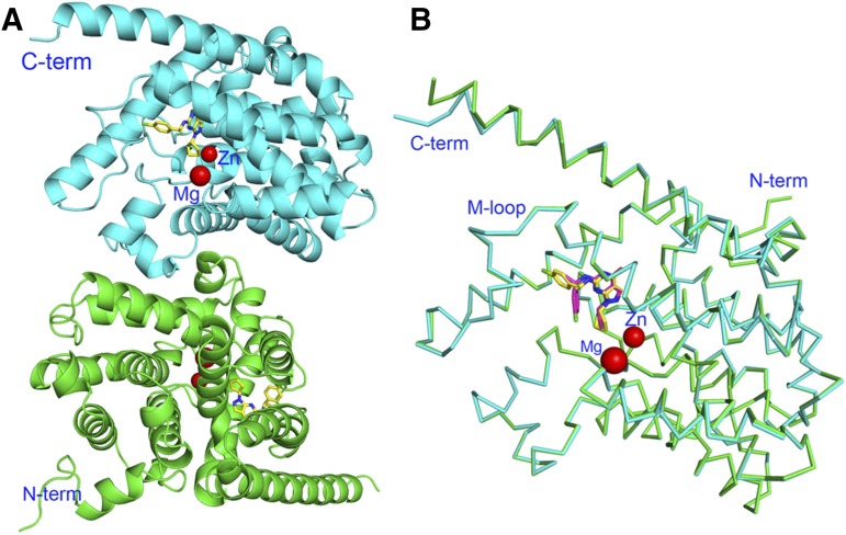 Fig. 2.