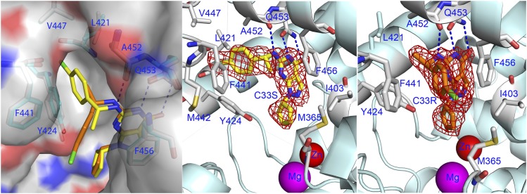 Fig. 3.